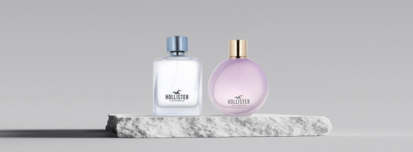 Hollister Hollister