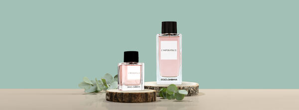 Dolce & Gabbana Dolce & Gabbana