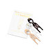 Fiona Franchimon Nº 1 Hairpin London Collection (Brown, Transparent, Soft Beige) 3 pces