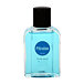 Pitralon Polar Lotion après-rasage homme 100 ml