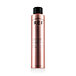 REF Hold & Shine Spray N°545 300 ml