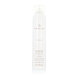Paul Mitchell Awapuhi Wild Ginger Style Finishing Hairspray 300 ml