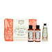Panier des Sens Rose Géranium Crème pour les mains 30 ml + Gel douche 70 ml + Lait pour le corps 70