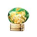 The House of Oud Cypress Shade Eau de Parfum (Unisexe) 75 ml