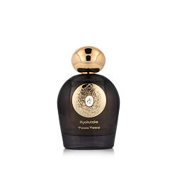 Tiziana Terenzi Hyakutake Extrait de Parfum (Unisexe) 100 ml