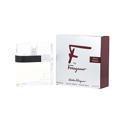 Salvatore Ferragamo F by Ferragamo Pour Homme Eau de Toilette (Homme) 100 ml