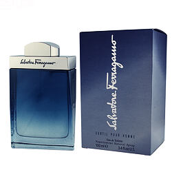 Salvatore Ferragamo Subtil pour Homme Eau de Toilette (Homme) 100 ml