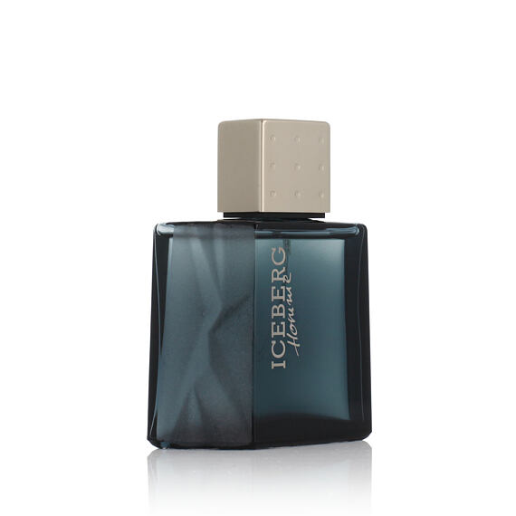 Iceberg Homme Eau de Toilette (Homme) 50 ml