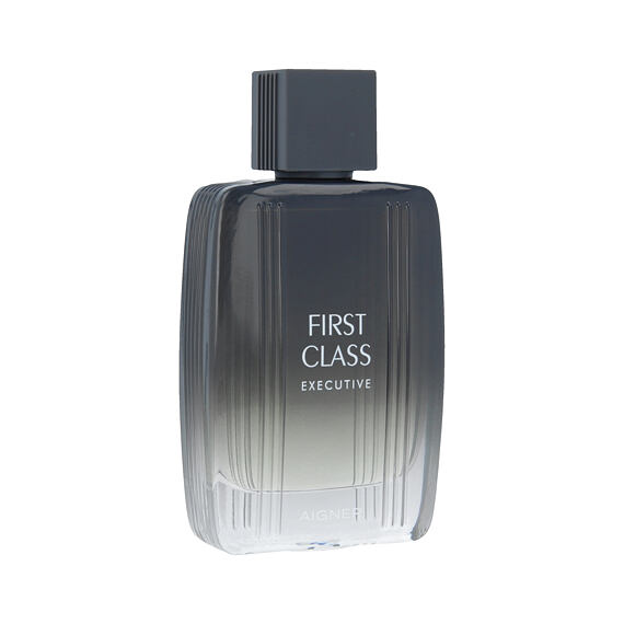 Aigner First Class Executive Eau de Toilette (Homme) 100 ml