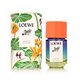 Loewe Paula&#039;s Ibiza Eclectic Eau de Toilette (Unisexe) 50 ml